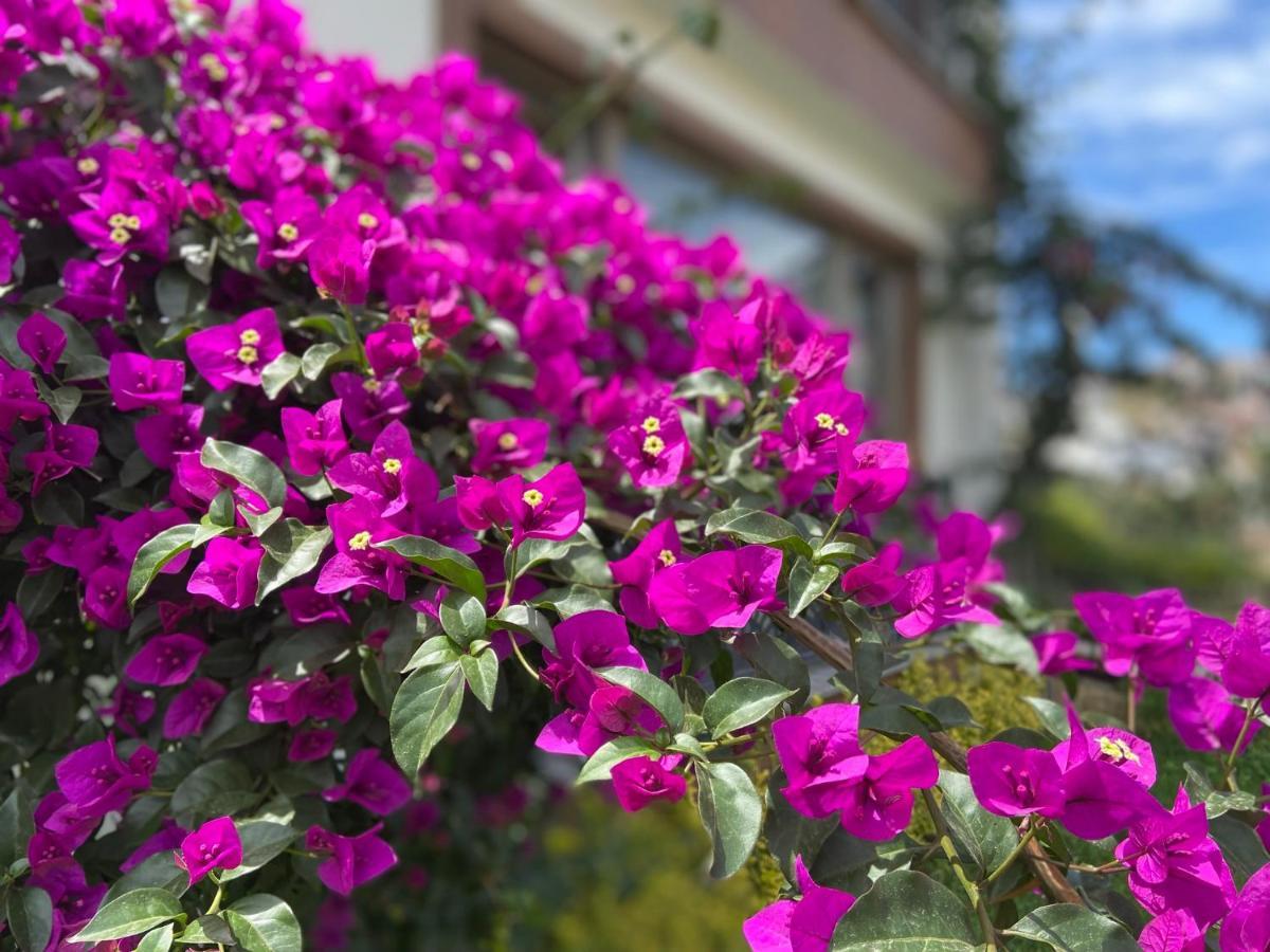 Yelken Pansiyon Sinop Exteriér fotografie