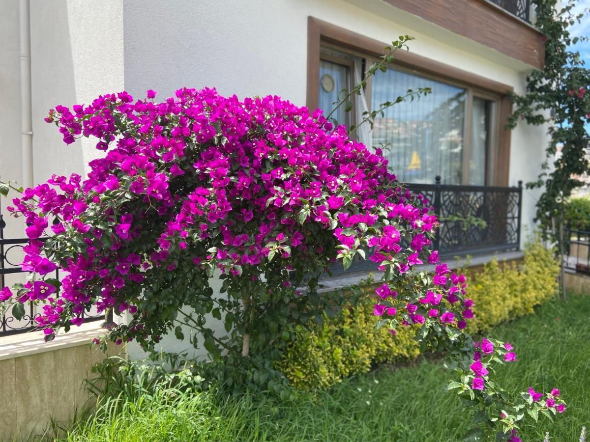 Yelken Pansiyon Sinop Exteriér fotografie
